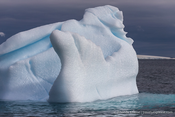 Visitar la Antártida: cosas que debe saber antes de ir