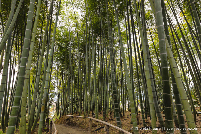 travelyesplease.com | Visitar el templo Kodai-ji: nuestro recorrido autoguiado