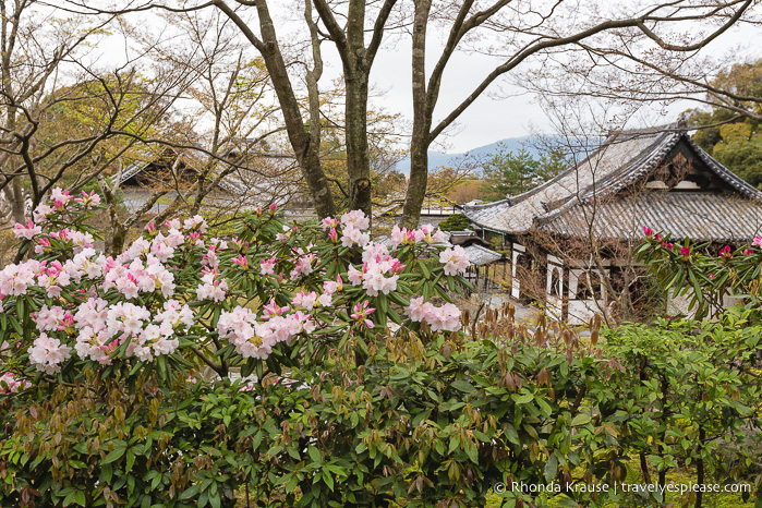 travelyesplease.com | Visitar el templo Kodai-ji: nuestro recorrido autoguiado