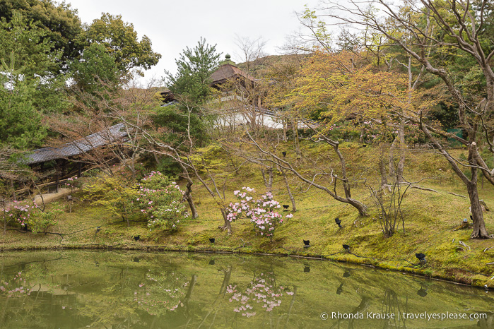 travelyesplease.com | Templo Kodai-ji: un hermoso templo zen en Kioto