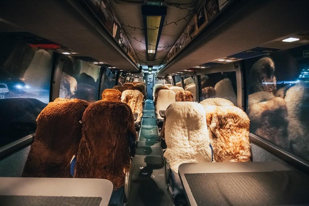 Tapas árticas en el Bus de Permacultura Polar