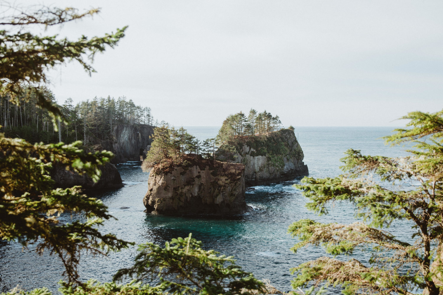 Cape Flattery - Atracciones en el estado de Washington