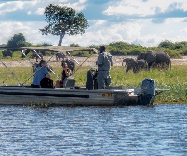 Observación de elefantes en barco en Chobe