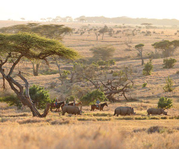 Montar safari rinoceronte encuentro cercano Lewa desierto Kenia 