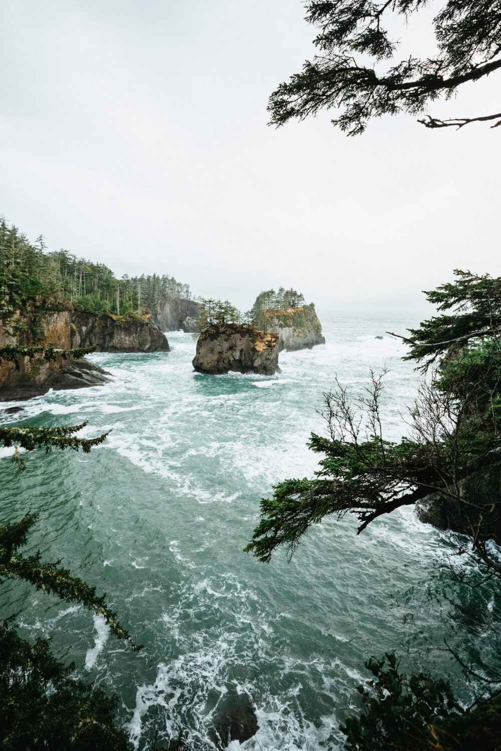 Vista de montones de mar desde Cape Flattery, Washington