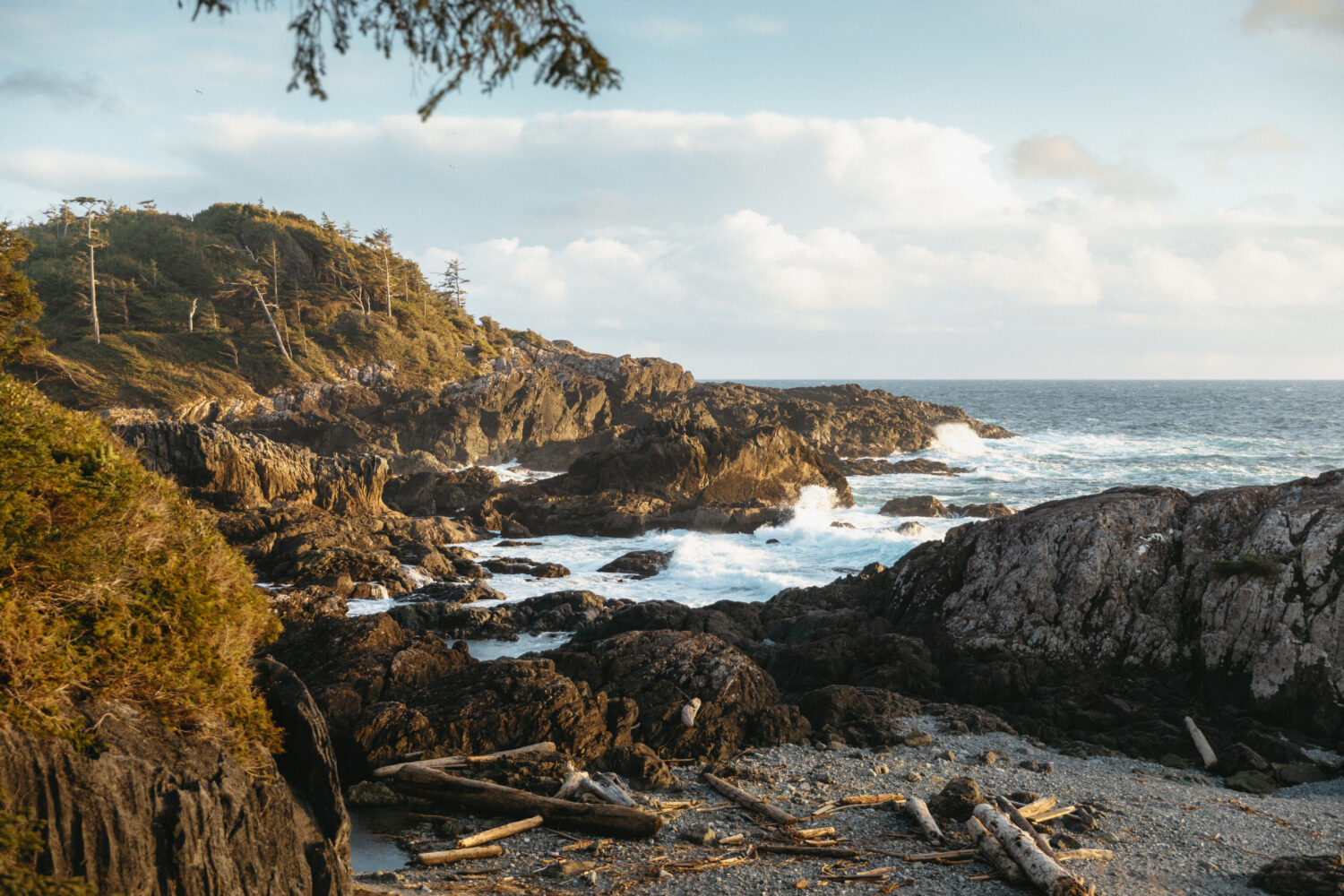 Ruta salvaje del Pacífico cerca de Tofino, BC