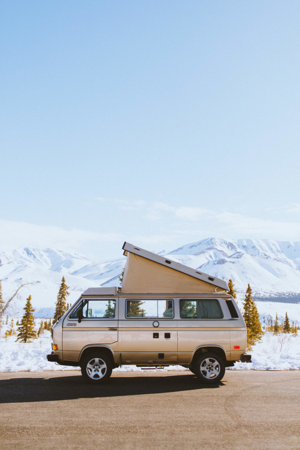 Actividades en Fairbanks - Parque Nacional Denali