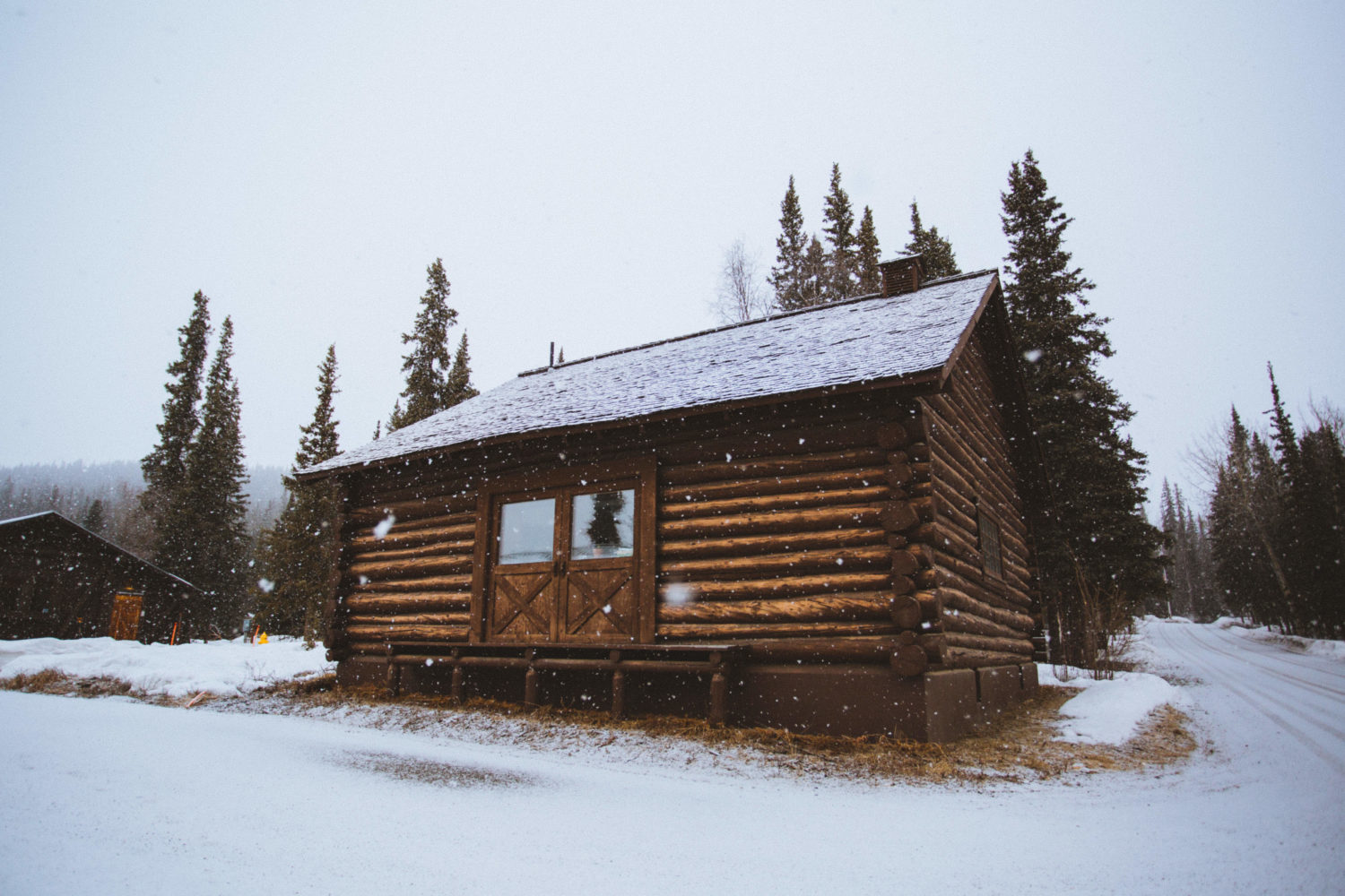 Ideas de vacaciones en el noroeste del Pacífico - Parque Nacional Denali