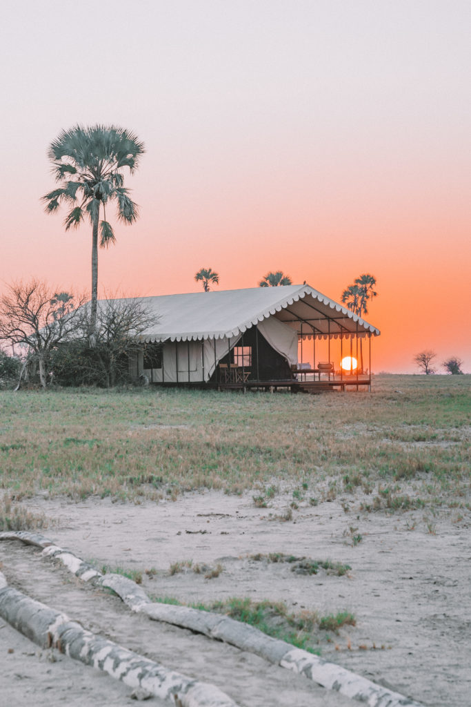 San Camp Botswana | MUNDO DE QUERER CAMINAR