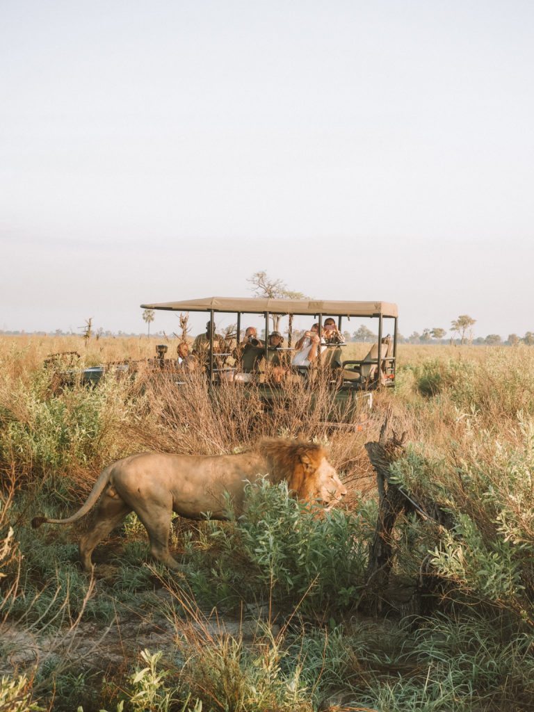 Sandibe Okavango Safari Lodge | MUNDO DE QUERER CAMINAR