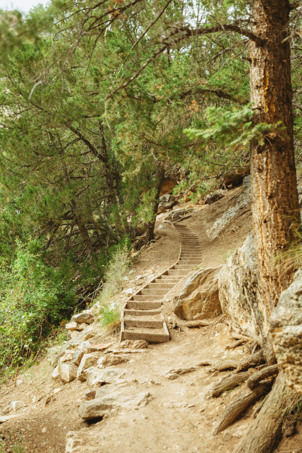 Escaleras en el Goldbug Hot Springs Trail Idaho