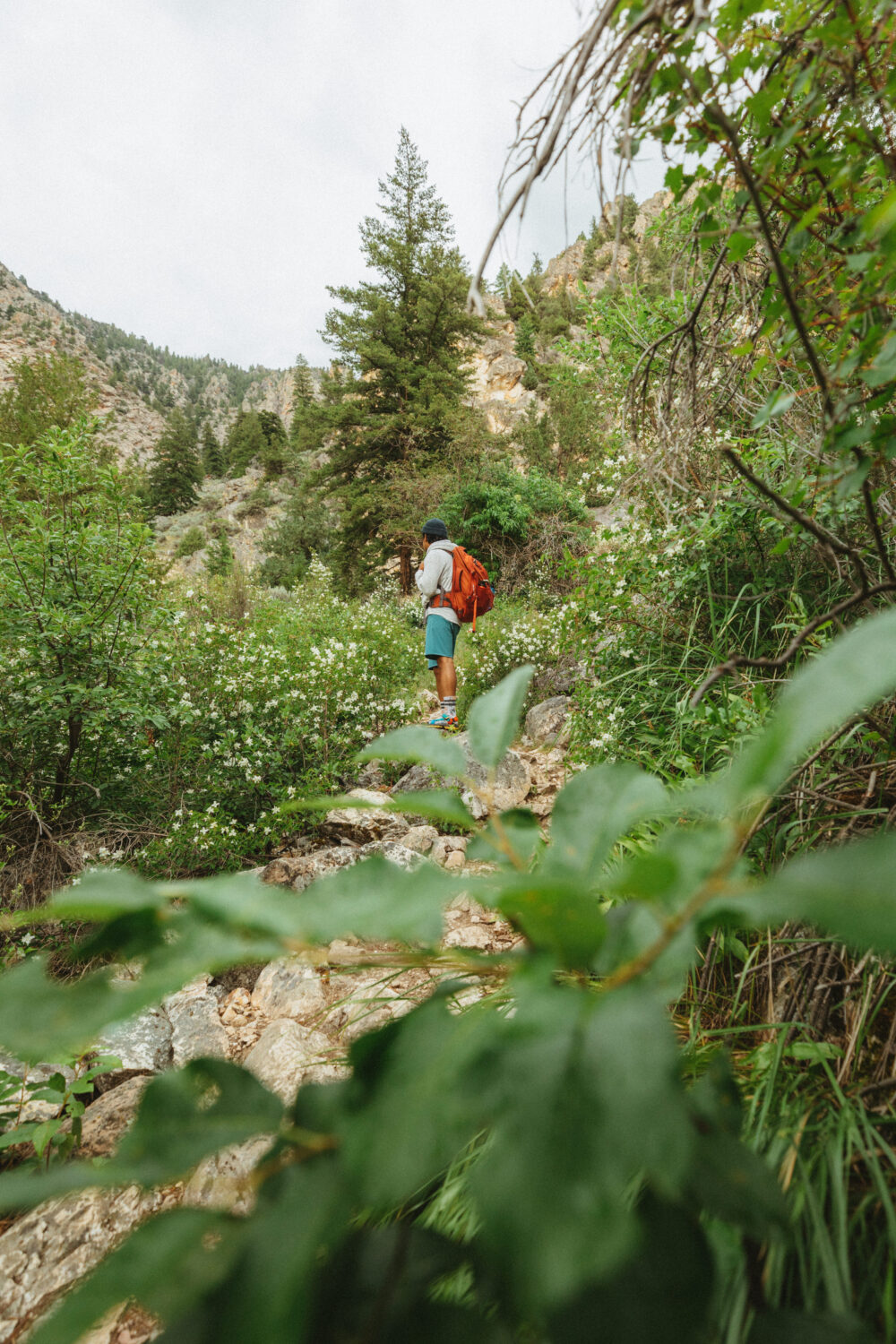 Berty Mandagie camina por el sendero Goldbug Hot Springs
