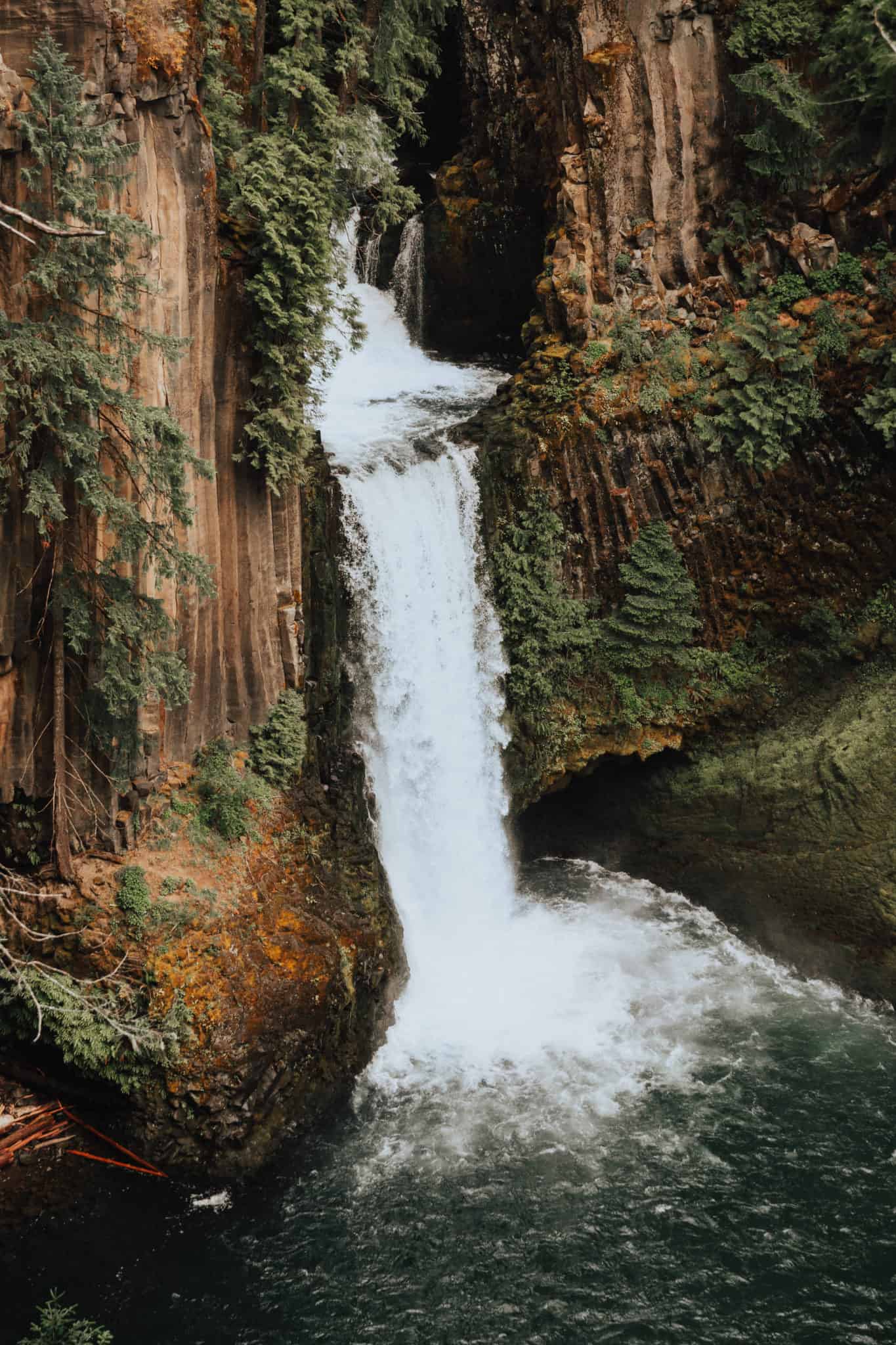 Fotografía de paisajes de Oregon - Toketee Falls
