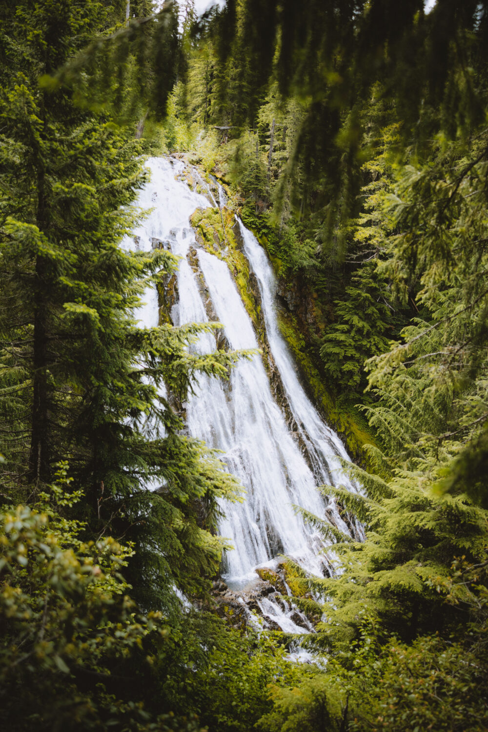 Diamond Creek Falls: las mejores cascadas de Oregón