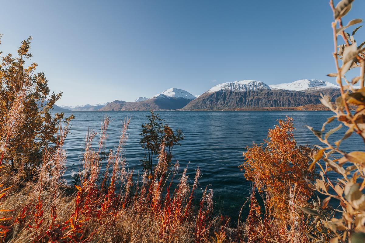 Lyngenfjord en otoño de Noruega