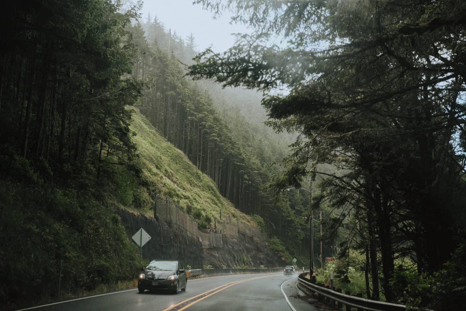 View of the road - Oregon Coast Road Trip - TheMandagies.com
