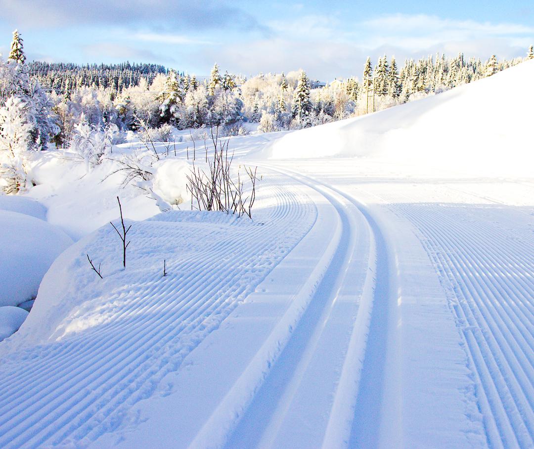 Esquí de fondo Rauland Telemark Noruega