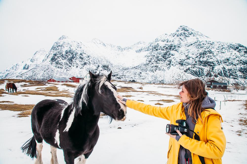 Caballo Flakstad Lofoten Noruega