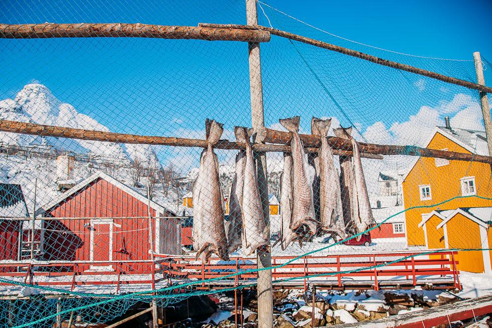 Nusfjord Noruega Lofoten en invierno, nieve de marzo