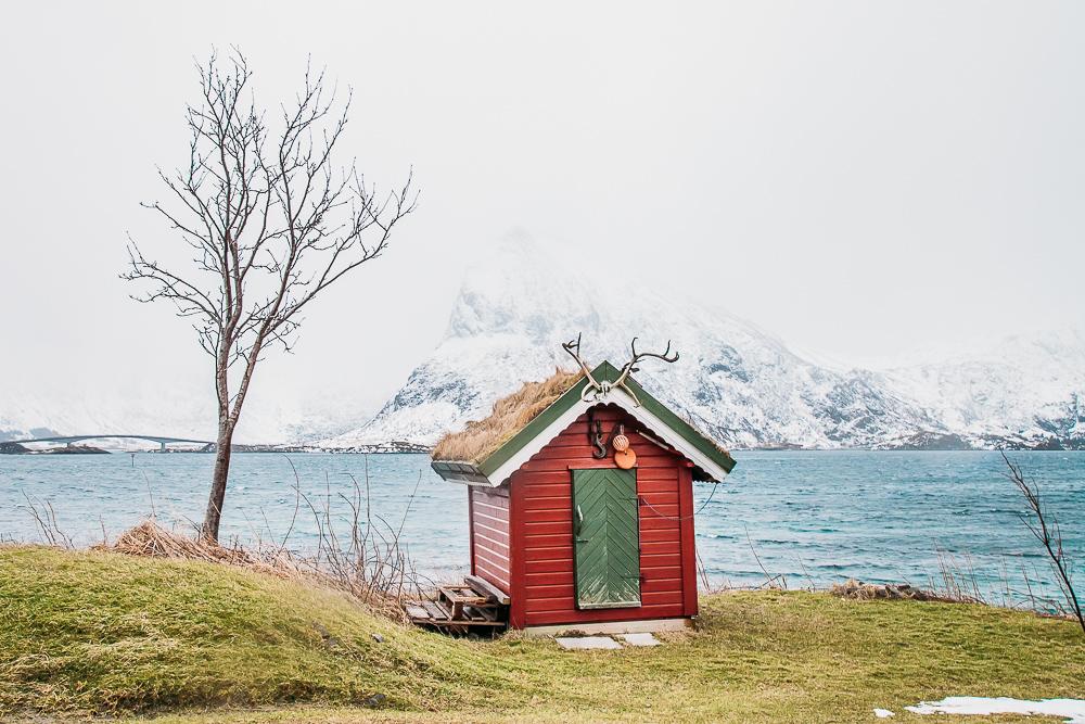 Fredvang invierno en Lofoten, Noruega, la nieve de los pantanos