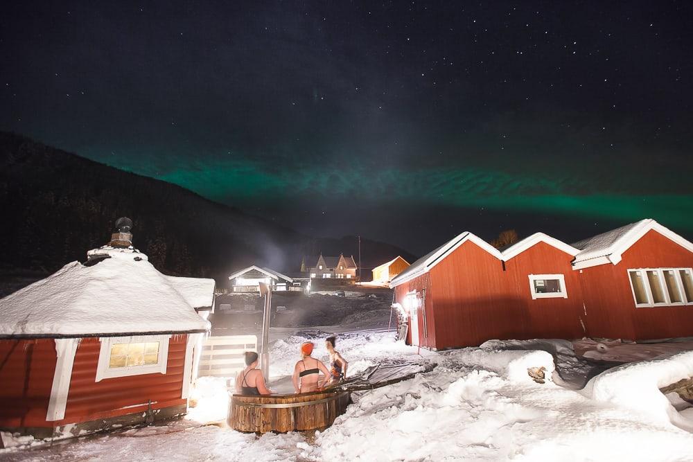 Aurora boreal dyrøy noruega