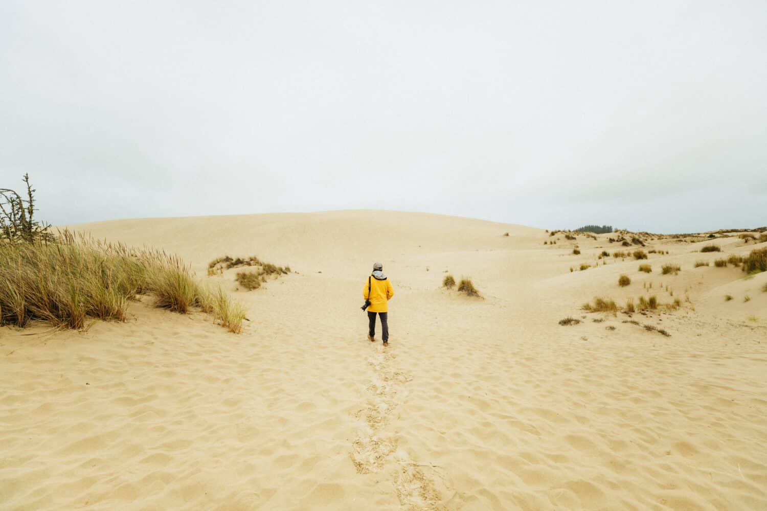 John Dellenback Dune Trail: senderismo en la costa de Oregón