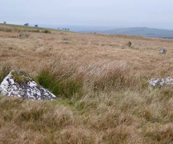 Y Pigwn Roman Camp