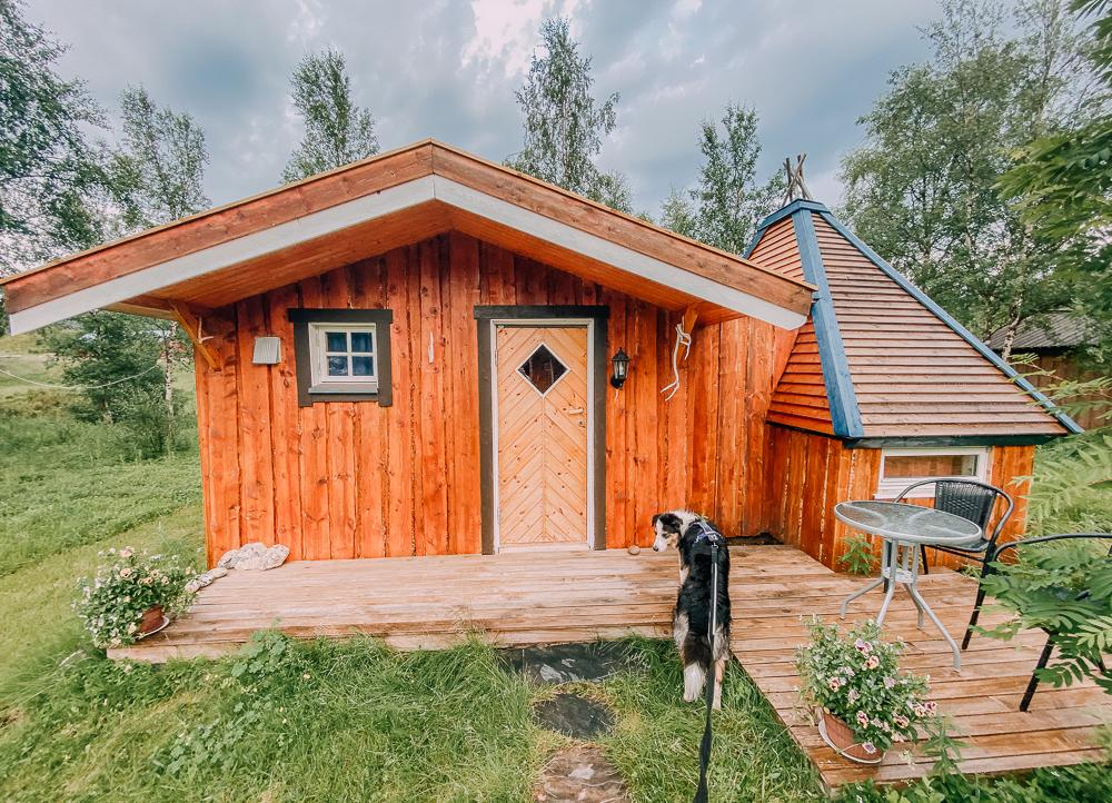 Viajar a Noruega con un perro