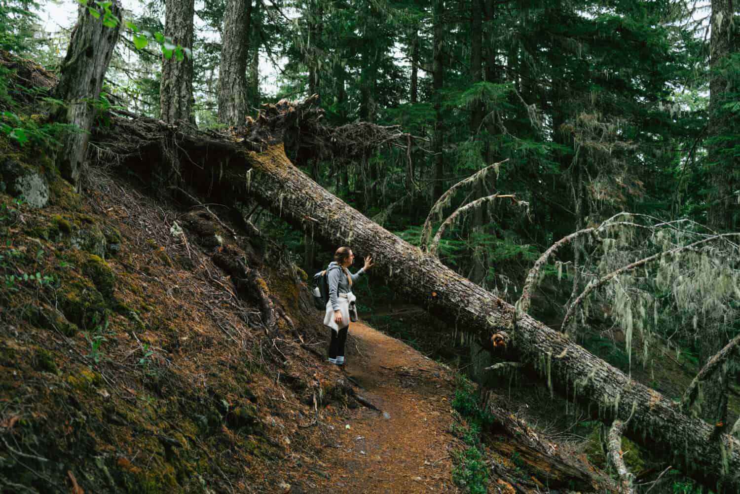 Emily Mandagie sobre la caminata de Ramona Falls