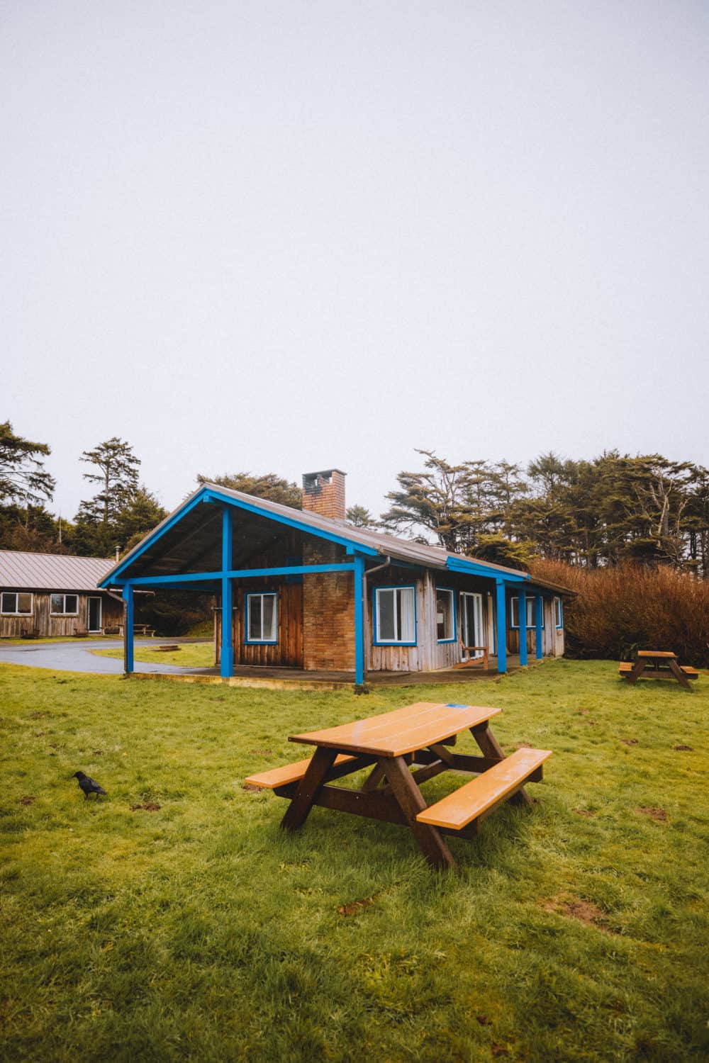 Escapadas familiares de fin de semana cerca de Portland, Oregón - The Kalaloch Lodge