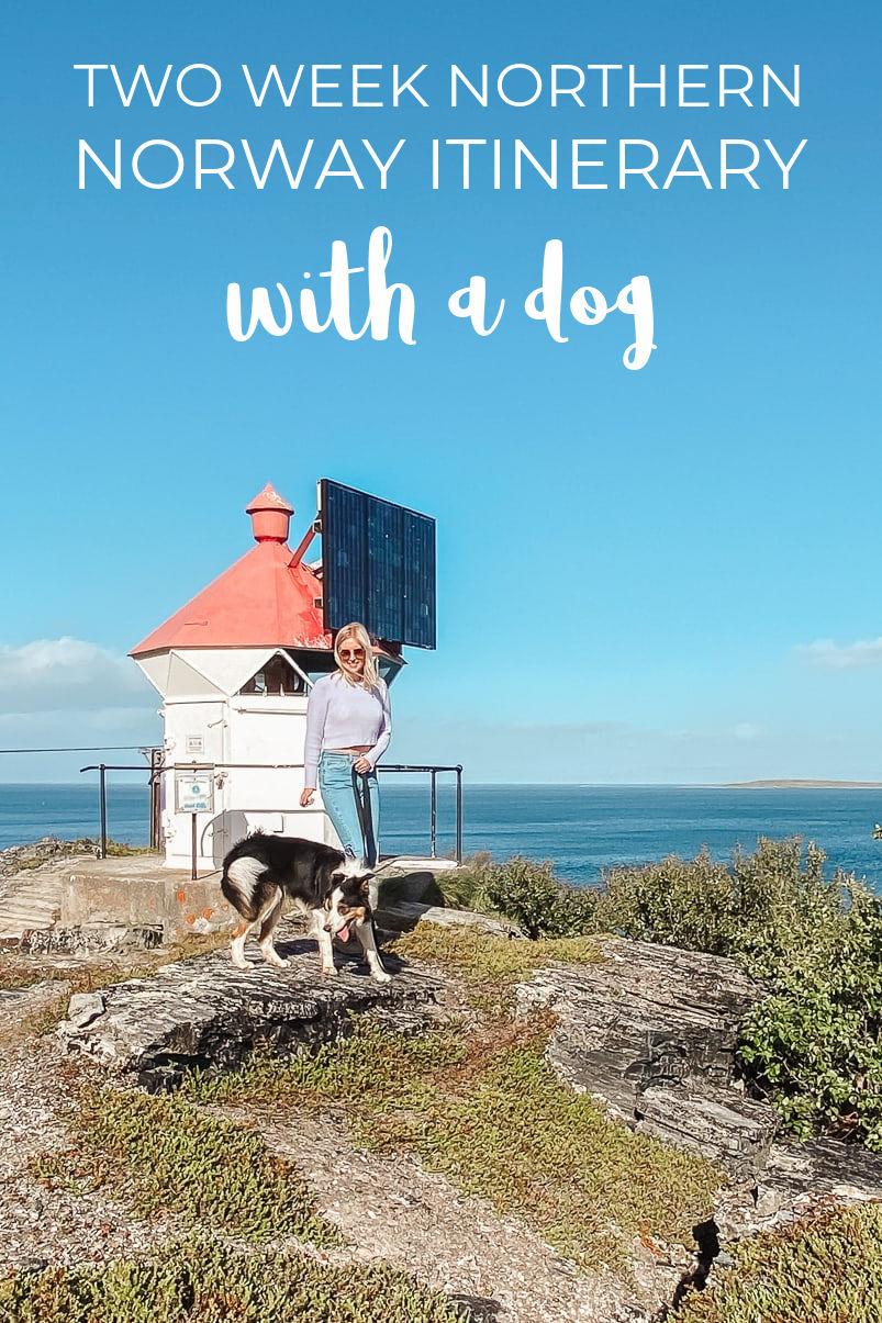 viaje de dos semanas por el norte de Noruega, con un perro