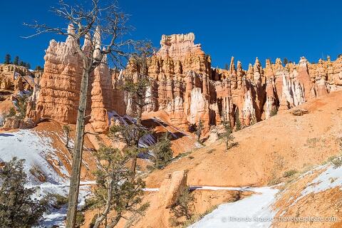 Hoodoos junto a Queen's Garden Trail.