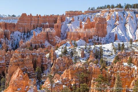 Hoodoos en el Anfiteatro Bryce.