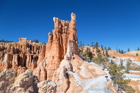 Hoodoos con vistas al Queen's Garden Trail.