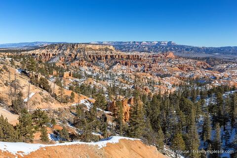 Hoodoos y árboles en el Anfiteatro de Bryce.
