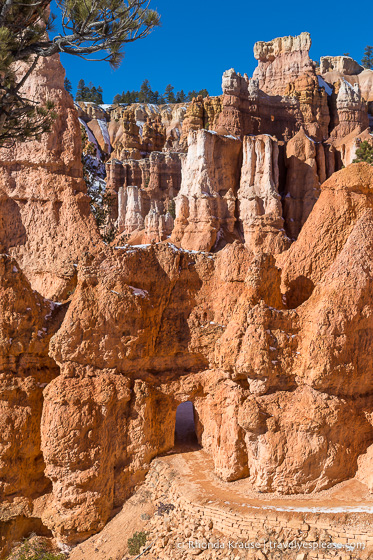Recorre un arco en la roca en Queen's Garden Trail.