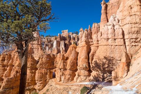 Pared de roca junto a Queen's Garden Trail.