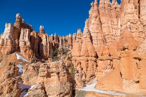 Muro de hoodoos junto a Queen's Garden Trail.