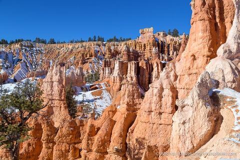 Hoodoos visto mientras caminaba por el Queen's Garden Trail.