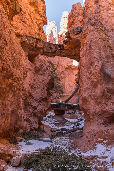 Formación rocosa de dos puentes en el Navajo Loop Trail.