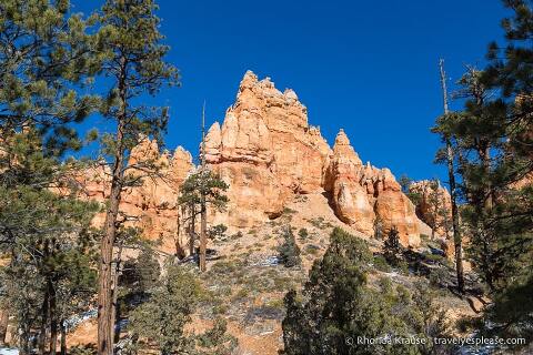 Hoodoos y árboles de hoja perenne.