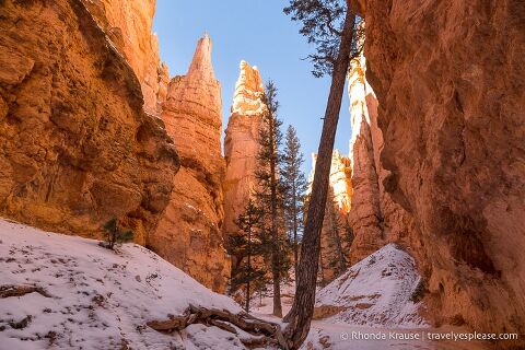 Las paredes de roca y los hoodoos se alinean en el Navajo Loop Trail.