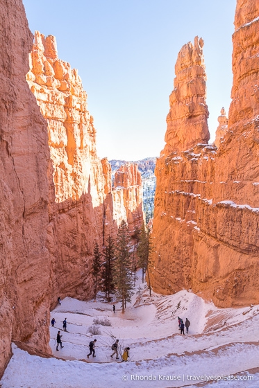 Las paredes de roca enmarcan las curvas del Navajo Loop Trail.