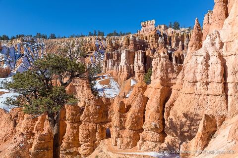 Hoodoos a lo largo del Queen's Garden Trail.