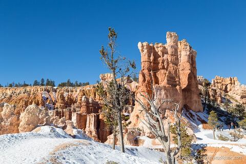 Queen's Garden Trail en invierno.