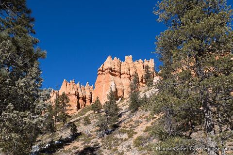 Hoodoos y árboles en el cañón.