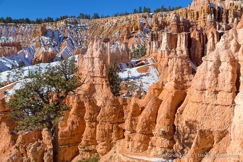 Hoodoos a lo largo del Queen's Garden Trail.
