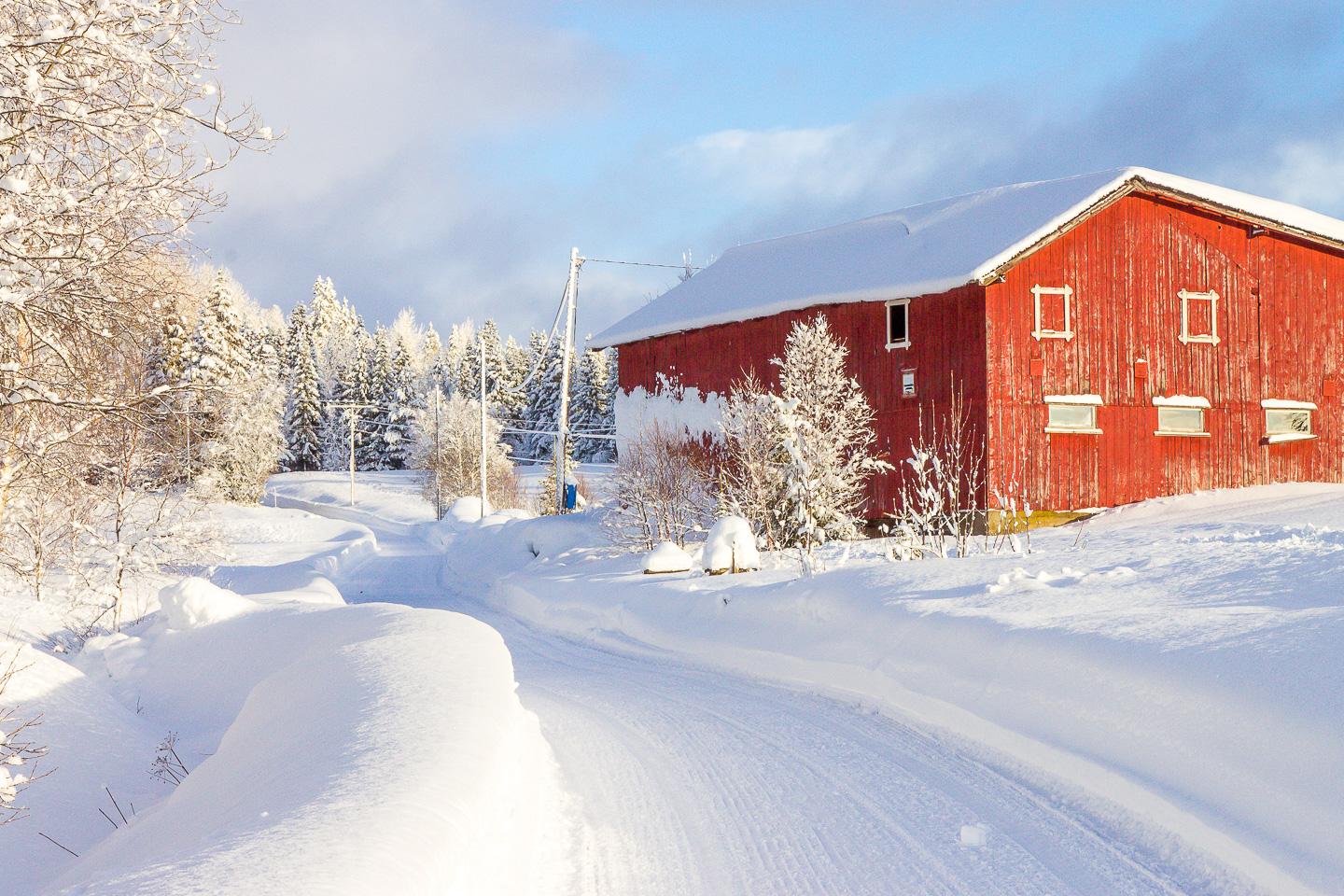 rauland telemark invierno