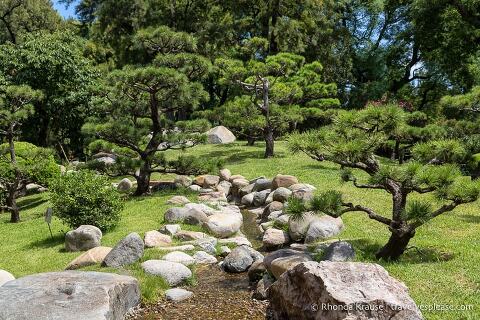Arroyo enmarcado por rocas y que desciende por una pequeña colina con árboles ornamentales.