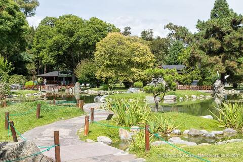 Camina por el jardín.